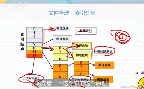 軟考軟件設計師 存儲管理 文件管理 計算機網絡 中